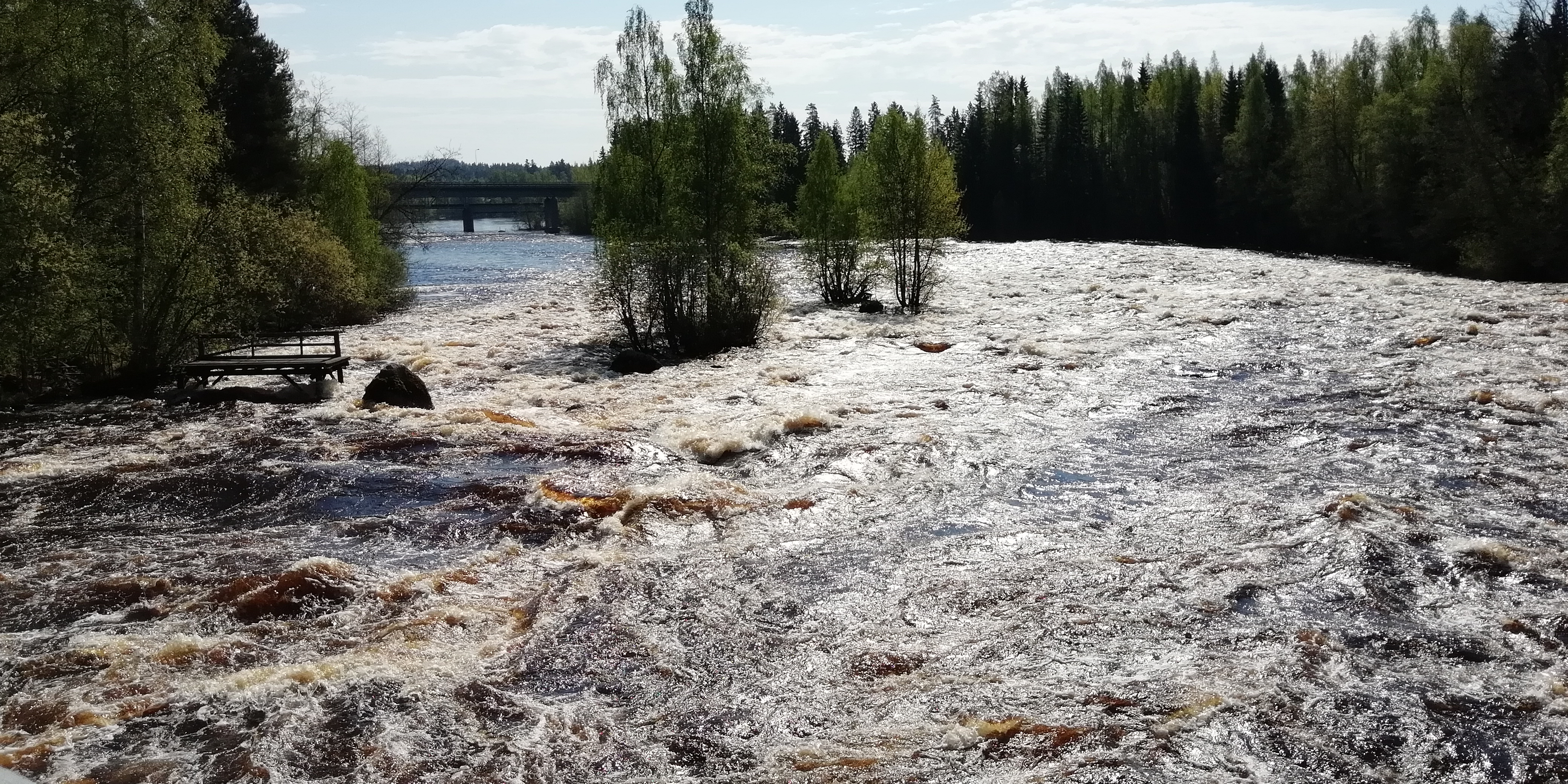 Salmon river near Jyväskylä